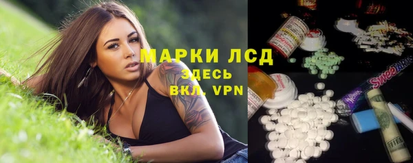 мет Елабуга