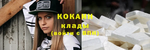 мет Елабуга