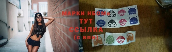 мет Елабуга