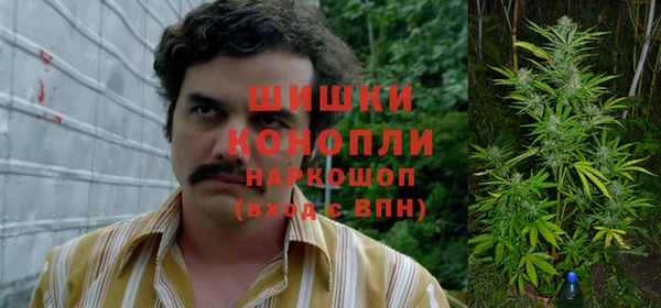 mdpv Елизово