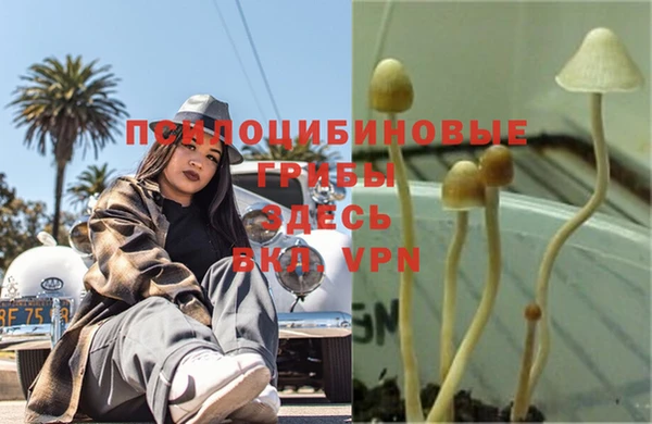 мет Елабуга
