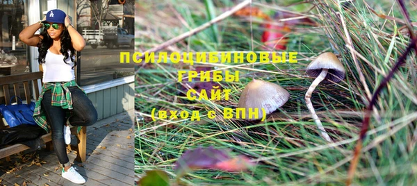 mdpv Елизово