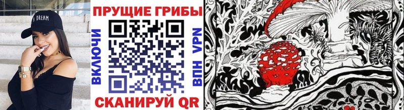 Псилоцибиновые грибы MAGIC MUSHROOMS  Купить закладки  Кимры 