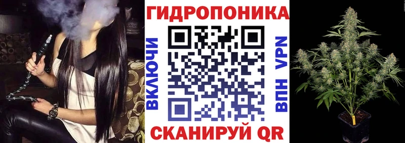 Каннабис сатива  Купить закладки  Кимры 
