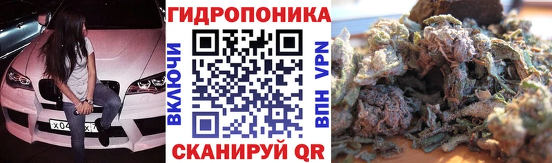 Шишки марихуана планчик Кимры